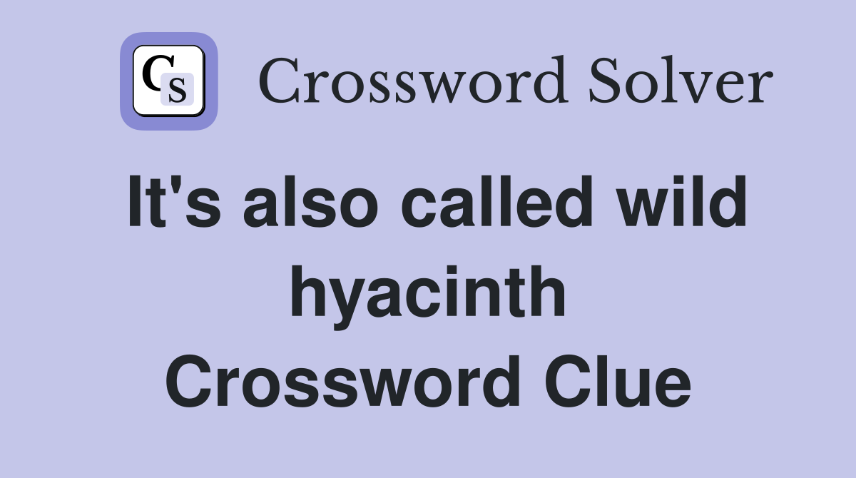 It's also called wild hyacinth Crossword Clue