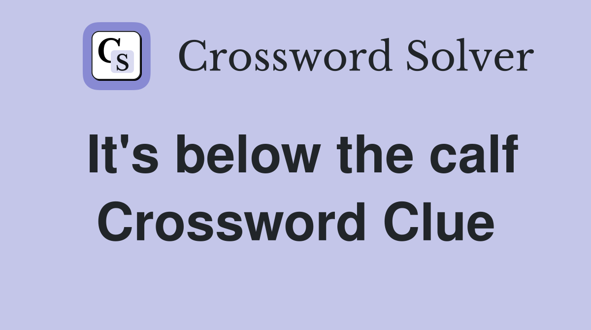 It's below the calf Crossword Clue