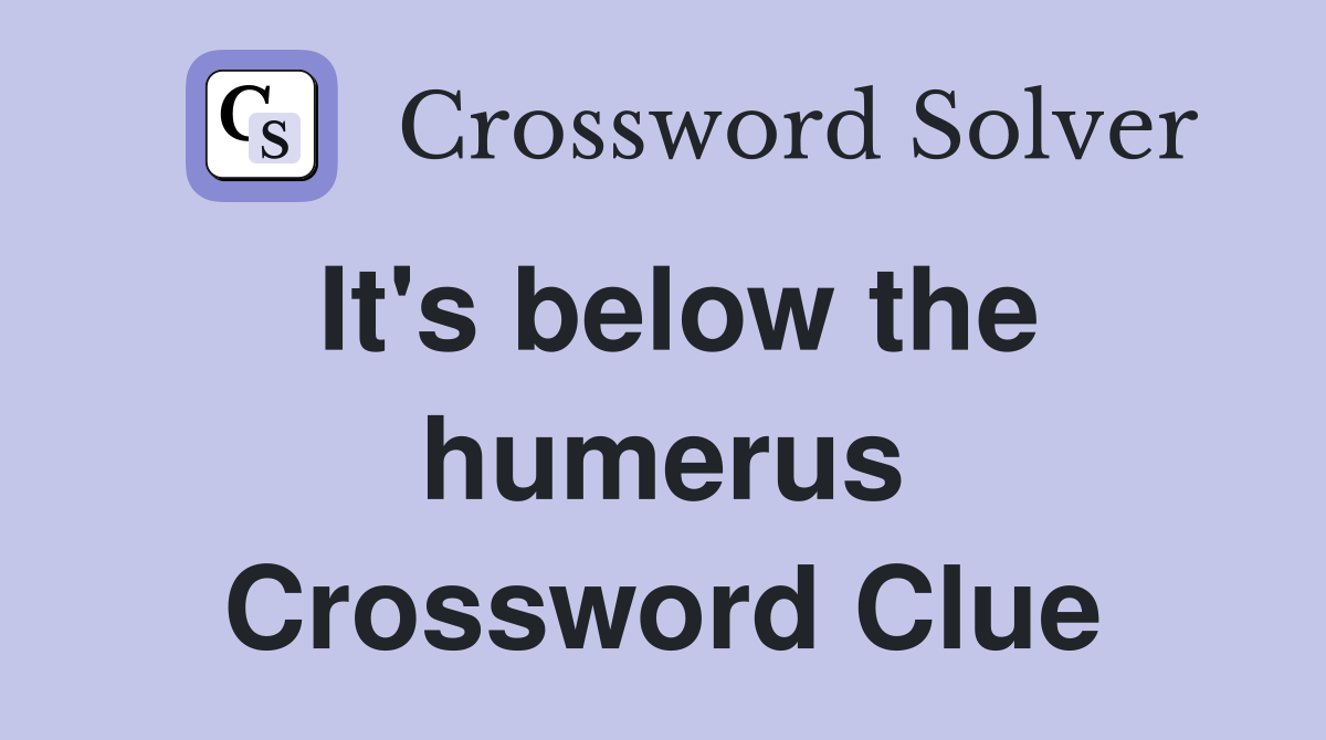 It's below the humerus Crossword Clue