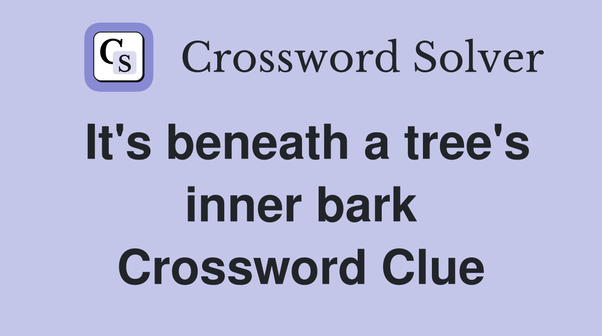 It's beneath a tree's inner bark Crossword Clue