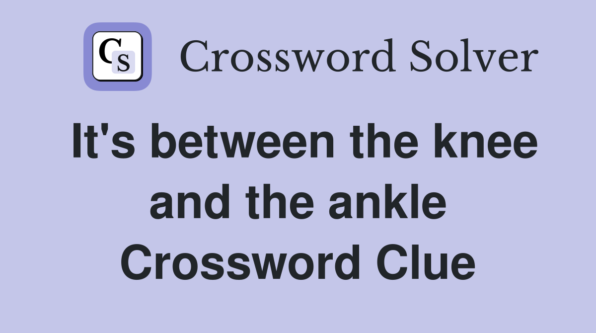 It's between the knee and the ankle Crossword Clue