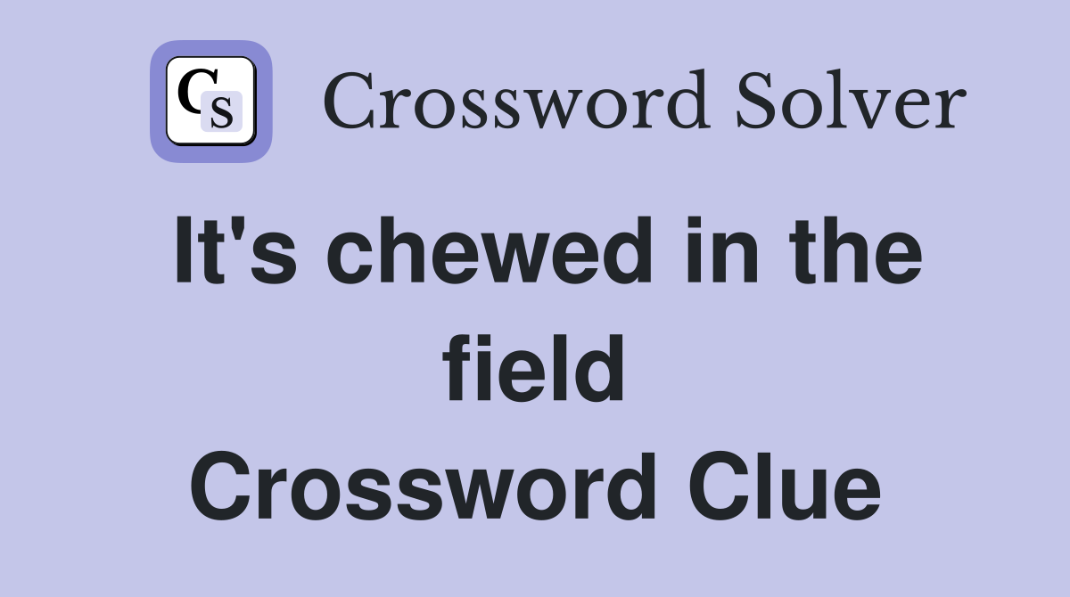 It's chewed in the field Crossword Clue