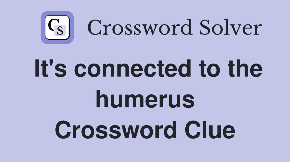It's connected to the humerus Crossword Clue