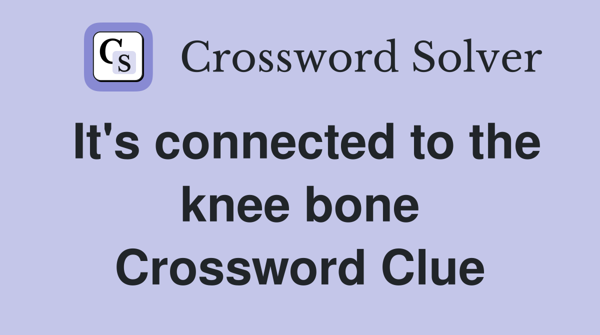 It's connected to the knee bone Crossword Clue