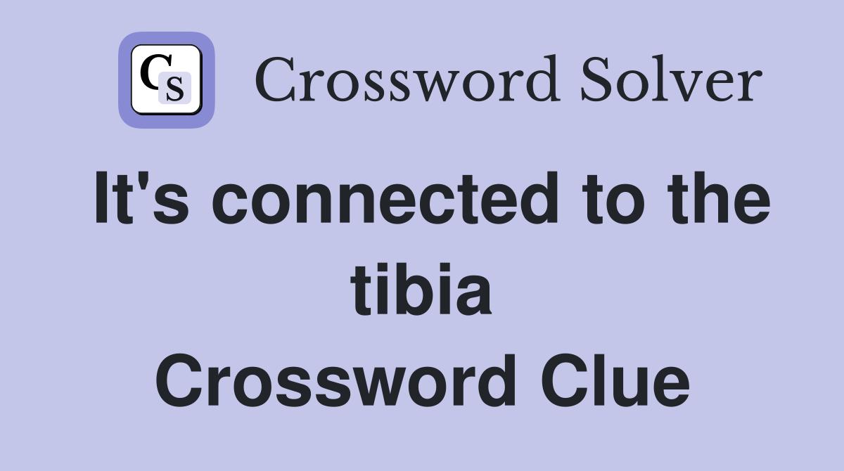 It's connected to the tibia Crossword Clue