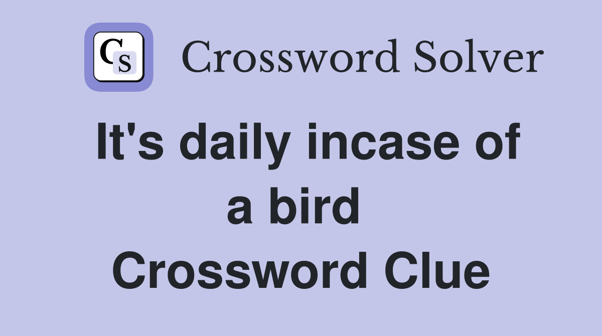It's daily incase of a bird  Crossword Clue