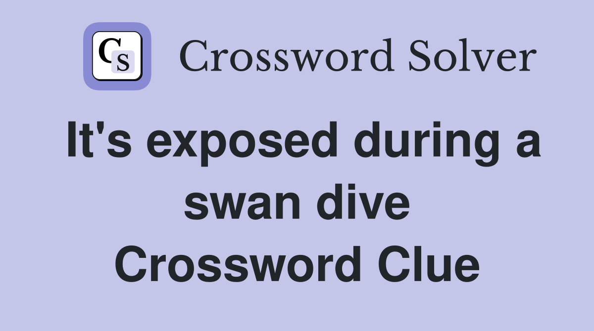 It's exposed during a swan dive Crossword Clue