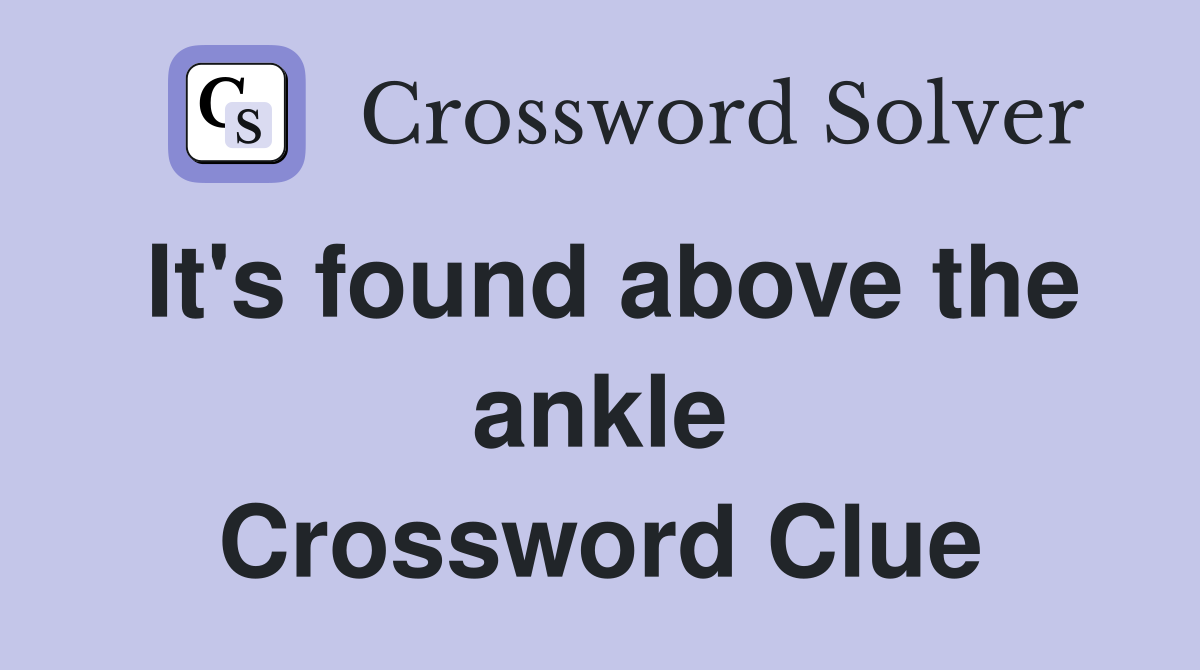 It's found above the ankle Crossword Clue