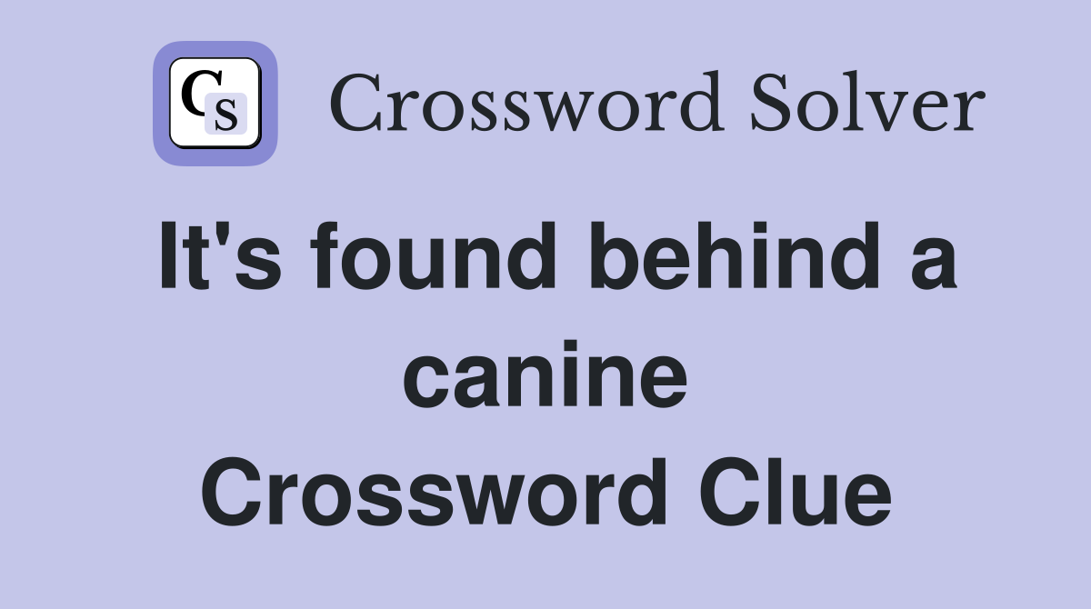 It's found behind a canine Crossword Clue