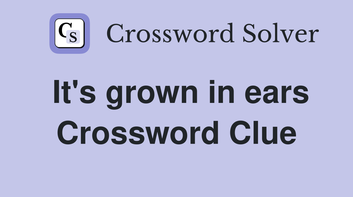 It's grown in ears Crossword Clue