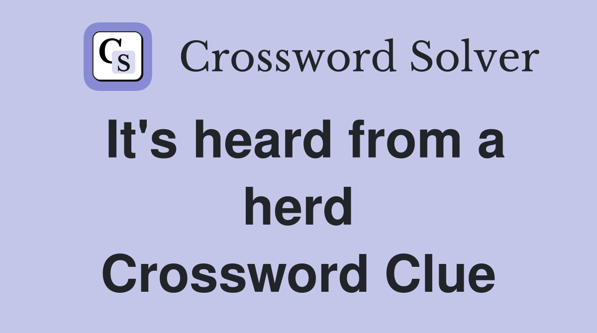 It's heard from a herd Crossword Clue