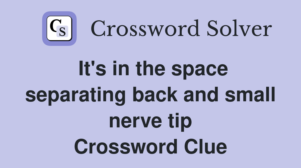 It's in the space separating back and small nerve tip Crossword Clue