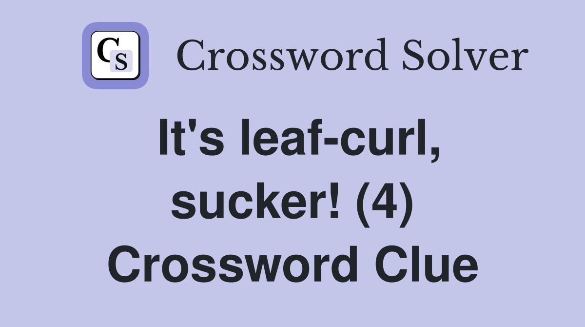 It's leaf-curl, sucker! (4) Crossword Clue