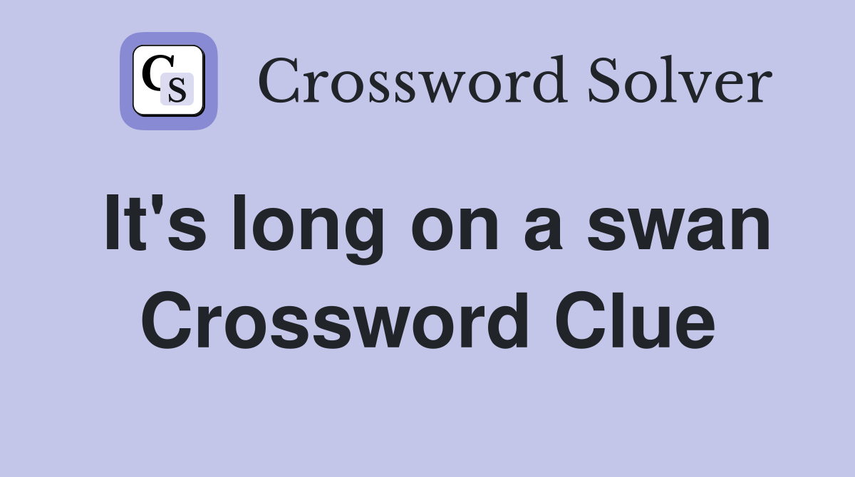 It's long on a swan Crossword Clue
