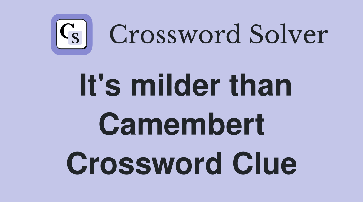 It's milder than Camembert Crossword Clue