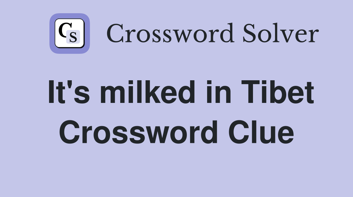 It's milked in Tibet Crossword Clue