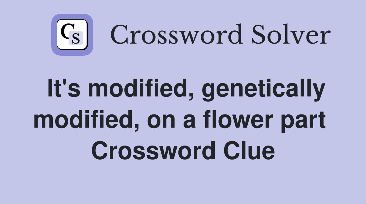 It's modified, genetically modified, on a flower part  Crossword Clue