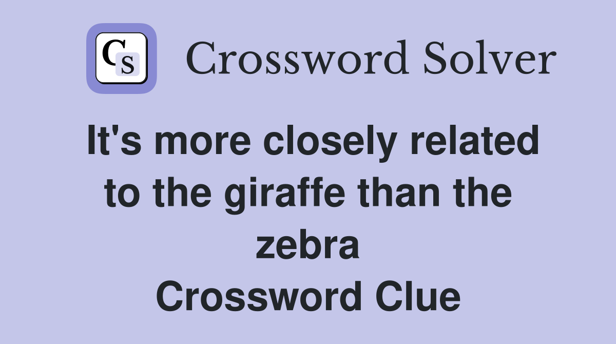 It's more closely related to the giraffe than the zebra Crossword Clue