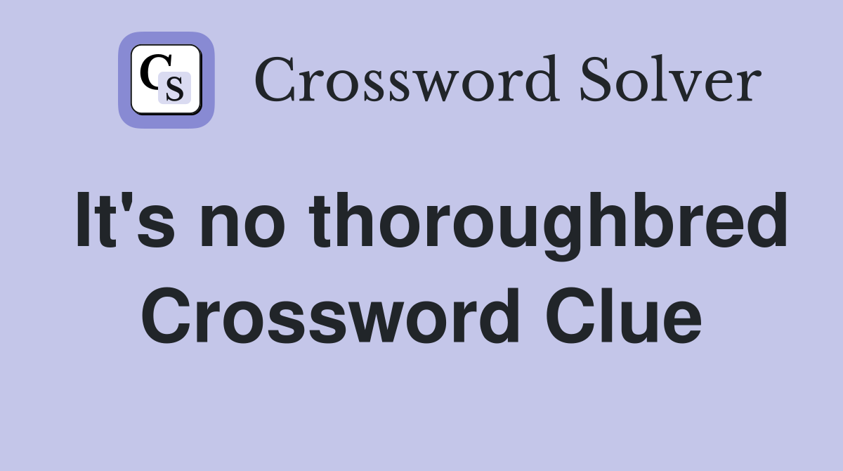 It's no thoroughbred Crossword Clue