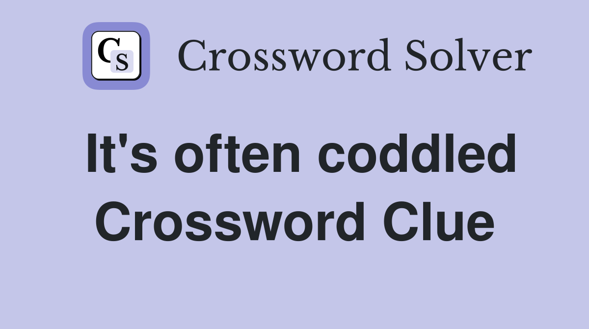 It's often coddled Crossword Clue
