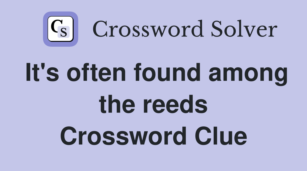 It's often found among the reeds Crossword Clue