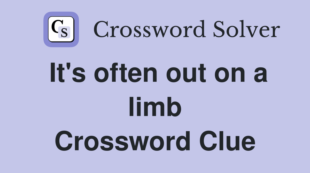 It's often out on a limb Crossword Clue