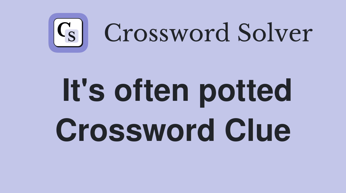 It's often potted Crossword Clue