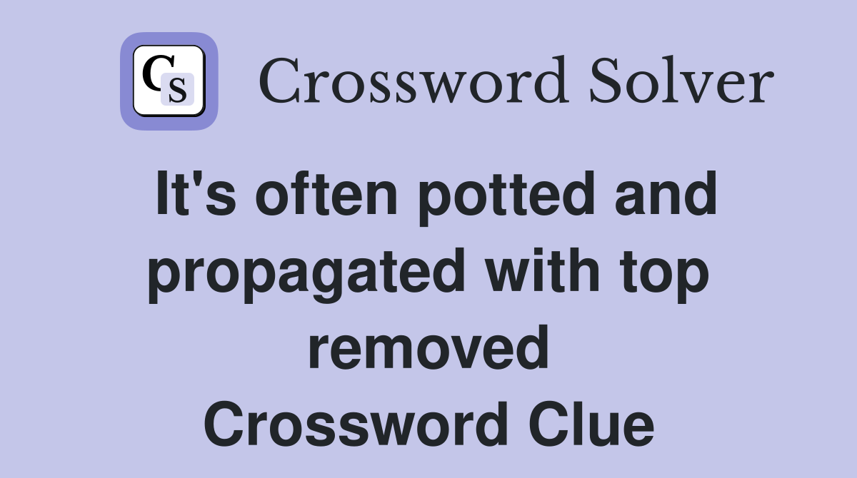 It's often potted and propagated with top removed Crossword Clue
