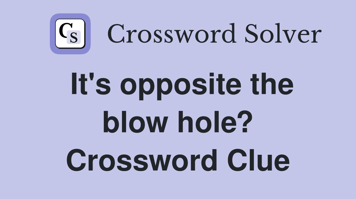 It's opposite the blow hole? Crossword Clue