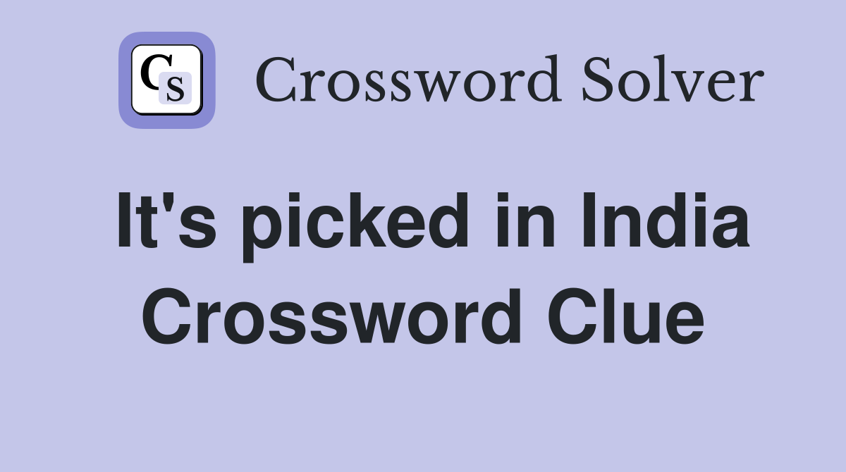 It's picked in India Crossword Clue