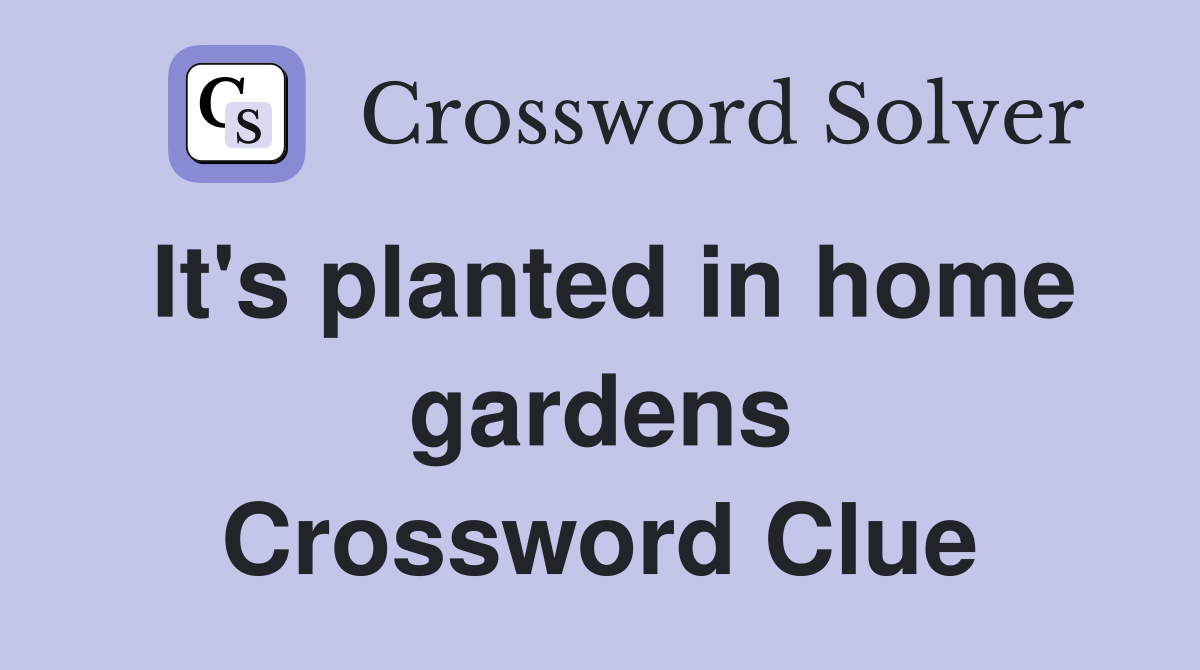 It's planted in home gardens Crossword Clue