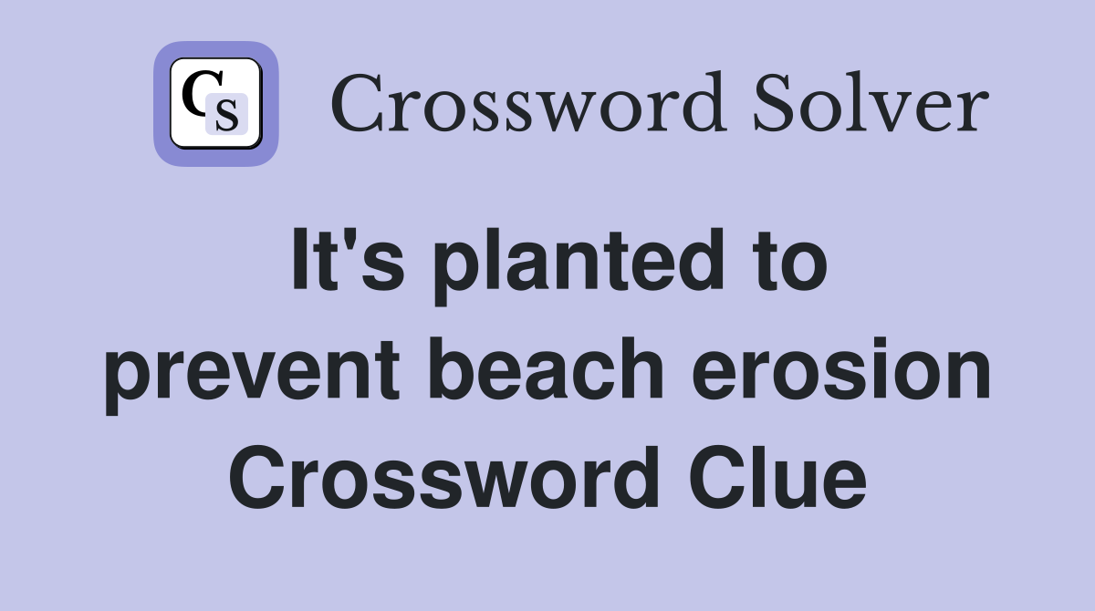 It's planted to prevent beach erosion Crossword Clue