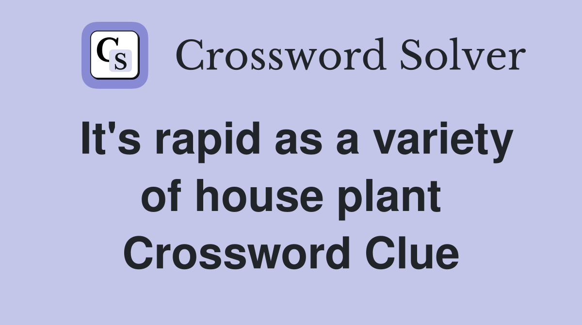 It's rapid as a variety of house plant Crossword Clue