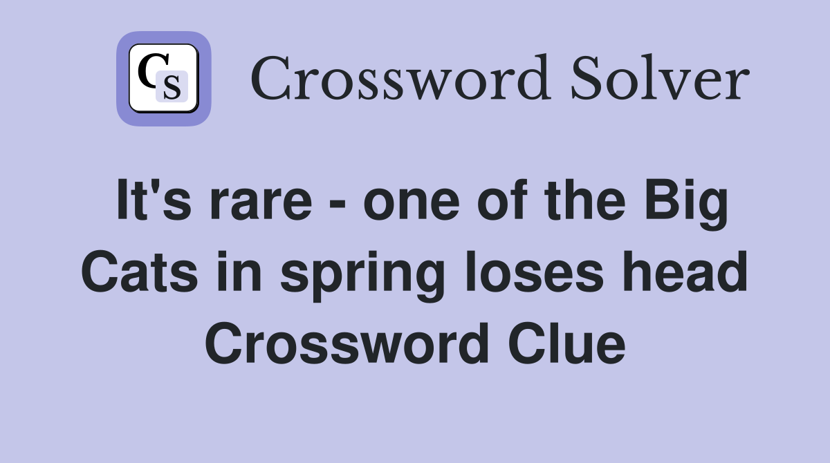 It's rare - one of the Big Cats in spring loses head Crossword Clue