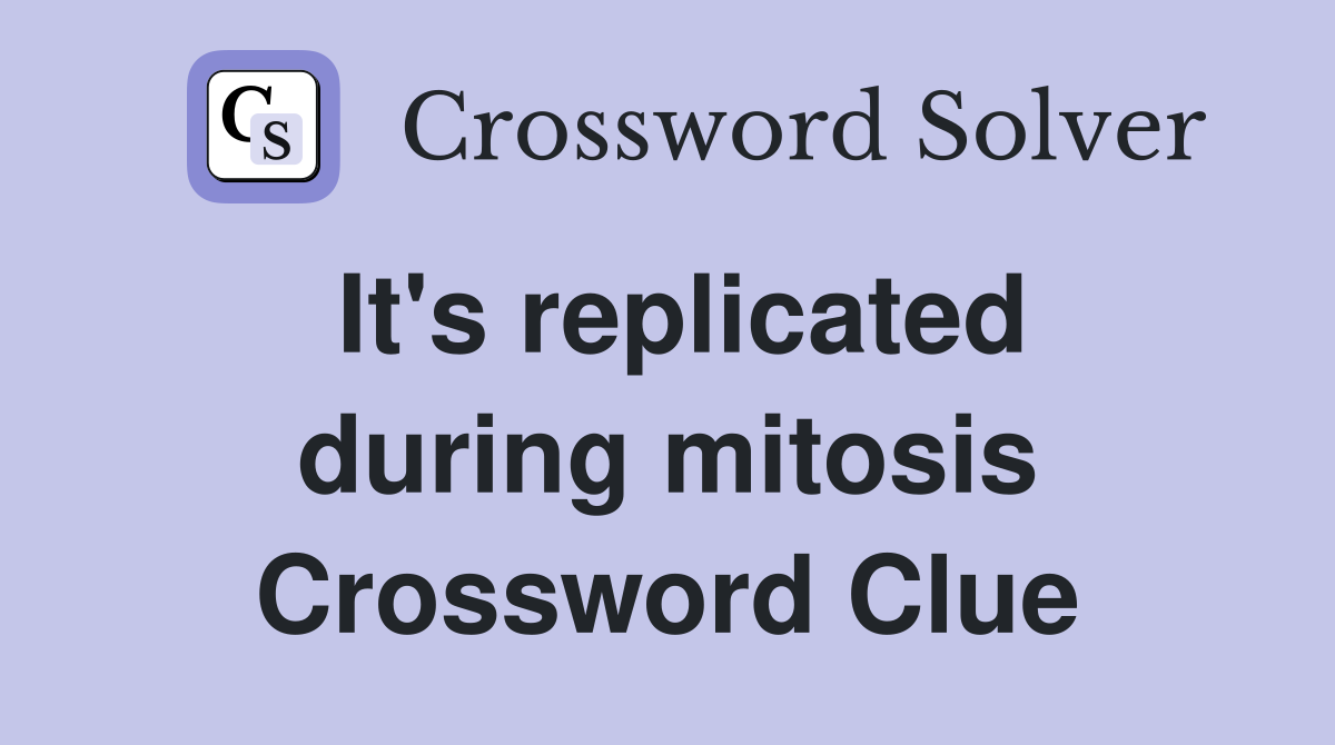 It's replicated during mitosis Crossword Clue