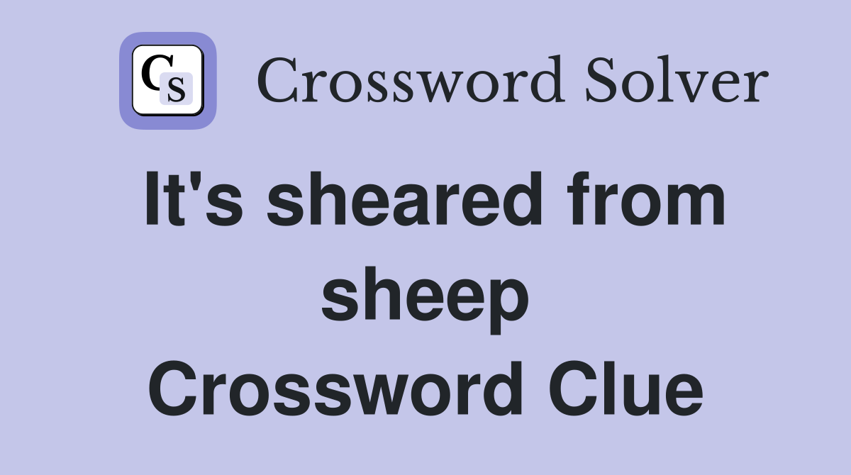 It's sheared from sheep Crossword Clue
