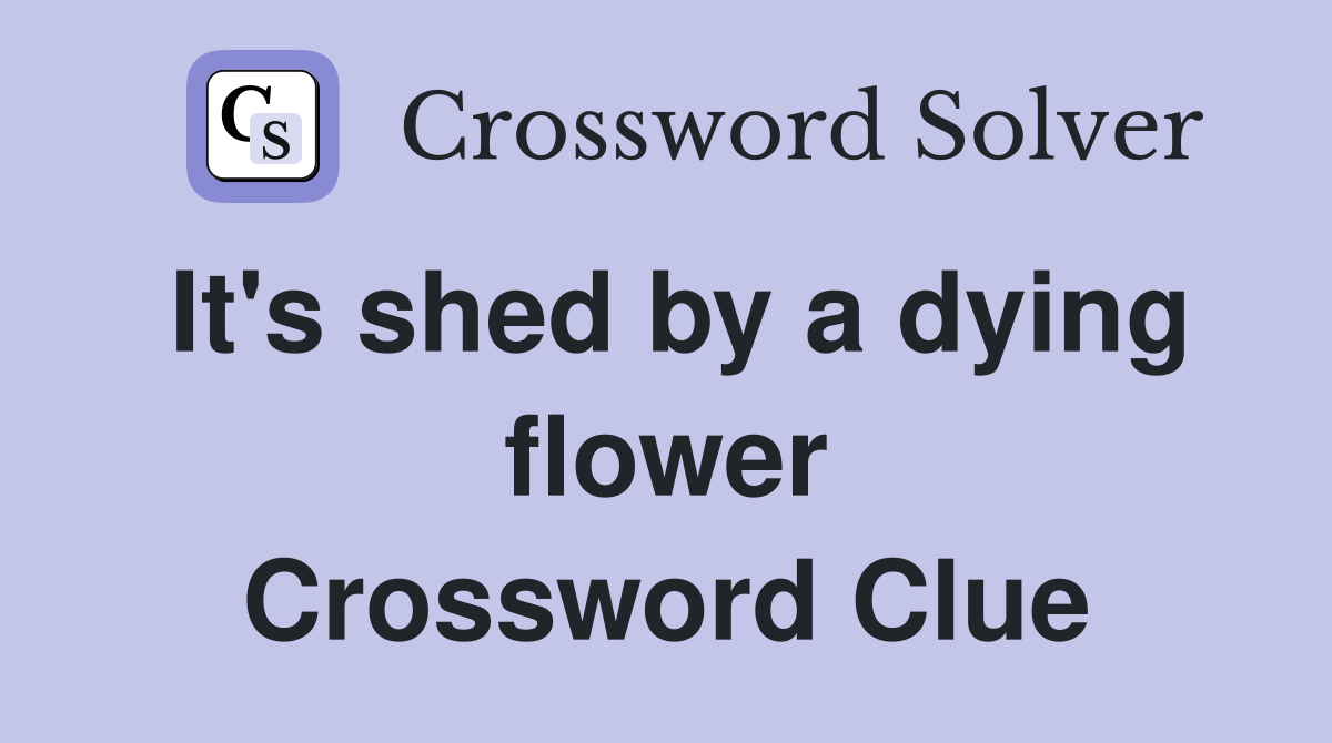 It's shed by a dying flower Crossword Clue