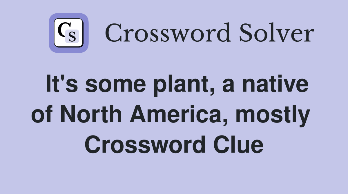 It's some plant, a native of North America, mostly  Crossword Clue