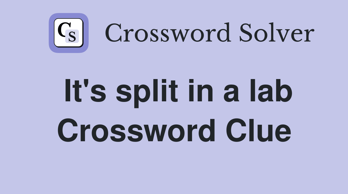 It's split in a lab Crossword Clue