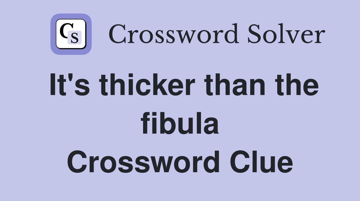 It's thicker than the fibula Crossword Clue