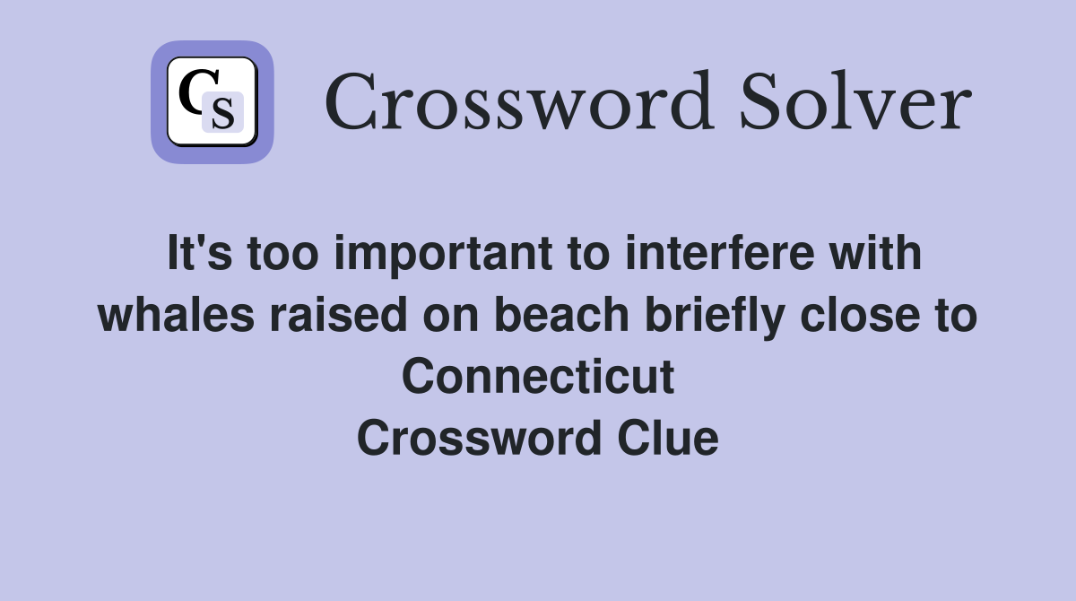 It's too important to interfere with whales raised on beach briefly close to Connecticut Crossword Clue