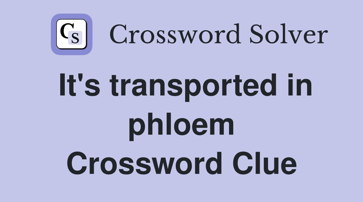 It's transported in phloem Crossword Clue