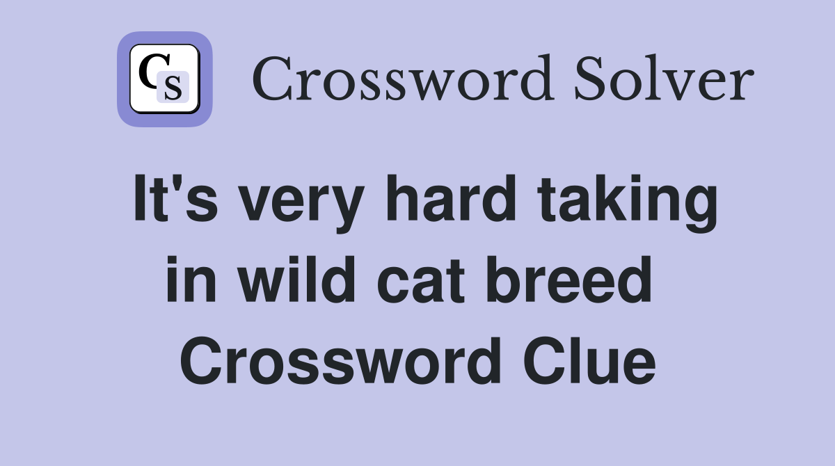 It's very hard taking in wild cat breed  Crossword Clue