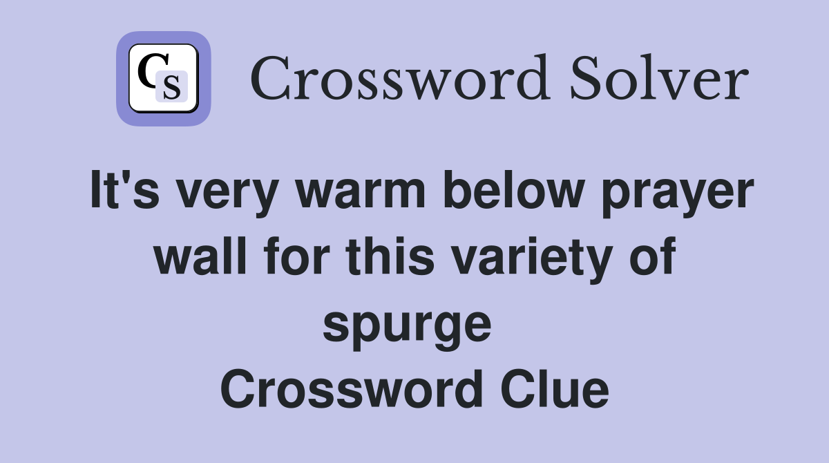 It's very warm below prayer wall for this variety of spurge  Crossword Clue