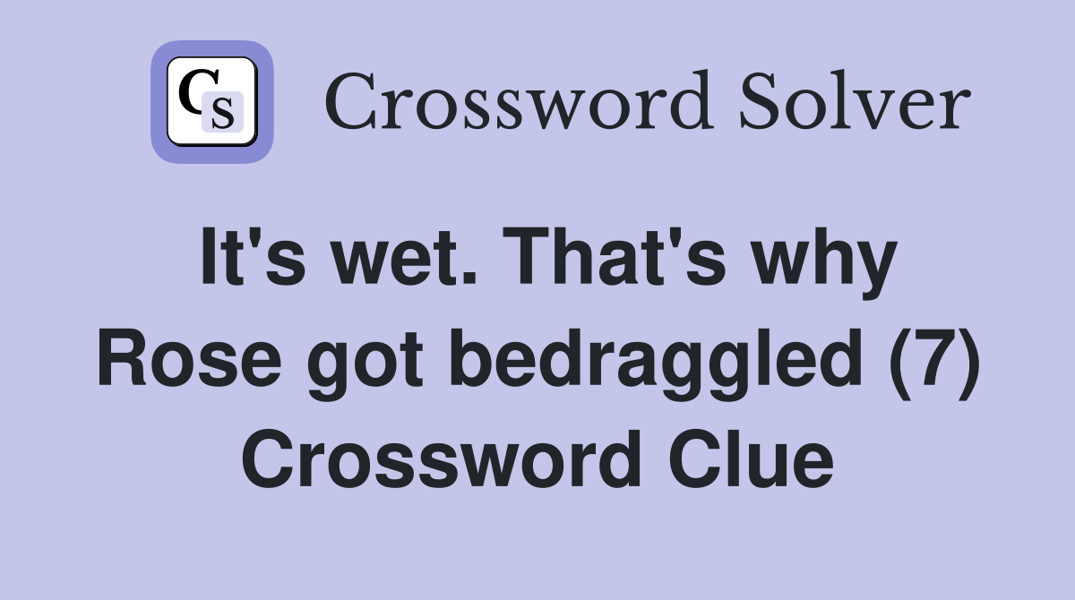 It's wet. That's why Rose got bedraggled (7) Crossword Clue