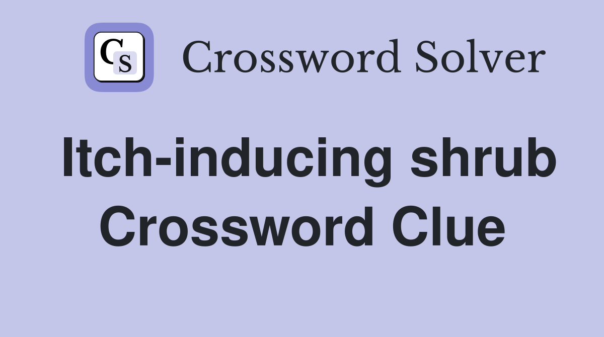Itch-inducing shrub Crossword Clue