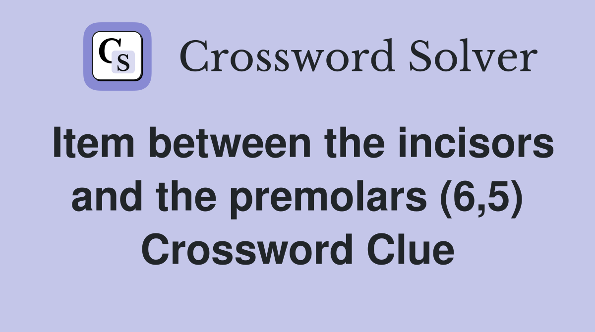 Item between the incisors and the premolars (6,5) Crossword Clue