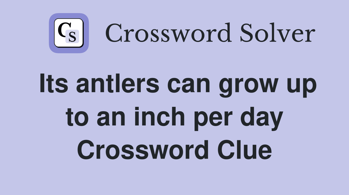 Its antlers can grow up to an inch per day Crossword Clue