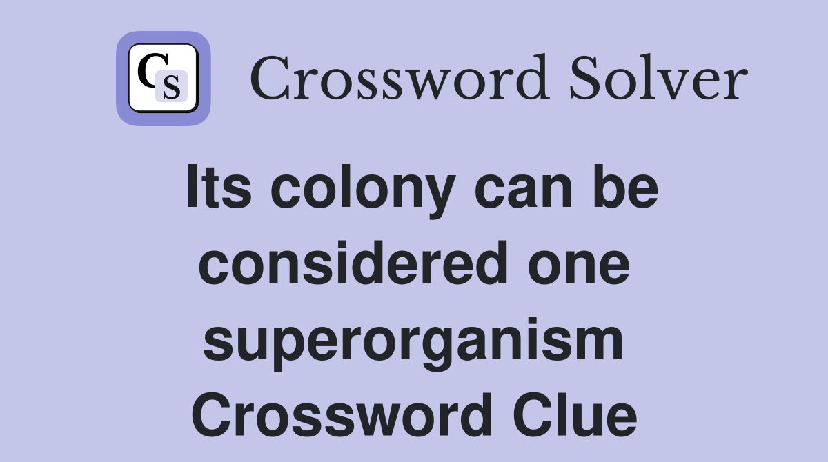 Its colony can be considered one superorganism Crossword Clue
