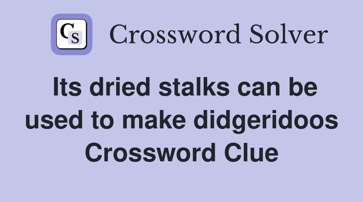 Its dried stalks can be used to make didgeridoos Crossword Clue